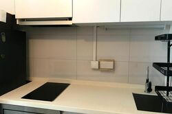 Haig 162 (D15), Apartment #452710561